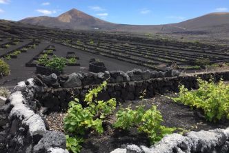 Geria Lanzarote Migliori Cantine Bodegas Degustazioni Vino