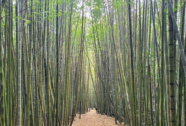 Cosa Vedere Taiwan Guida Viaggio Isola Formosa