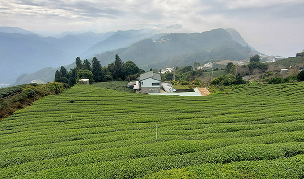 Cosa Vedere Taiwan Guida Viaggio Isola Formosa